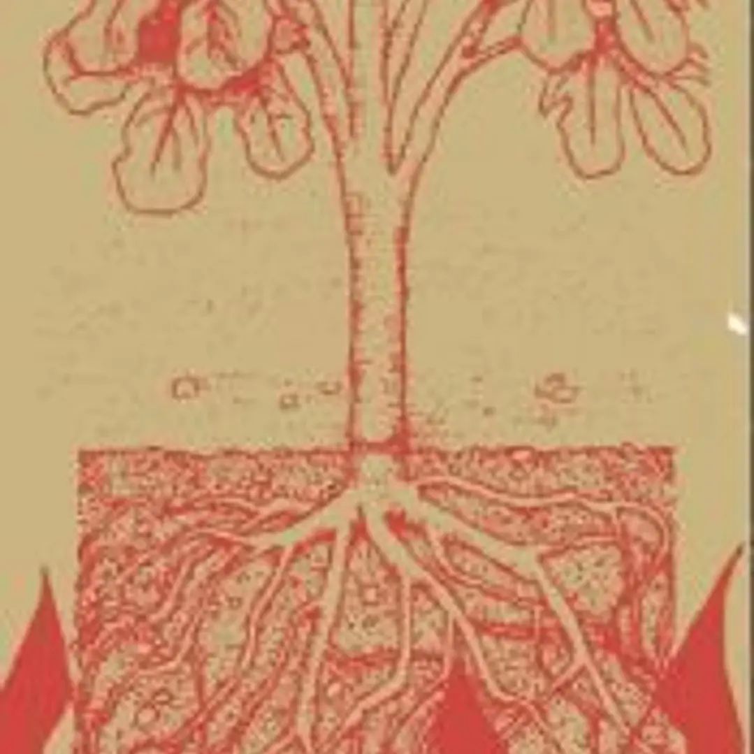 Autonomía y subsistencia: Una teoría ecosocial y materialista de la libertad 1