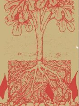 Autonomía y subsistencia: Una teoría ecosocial y materialista de la libertad