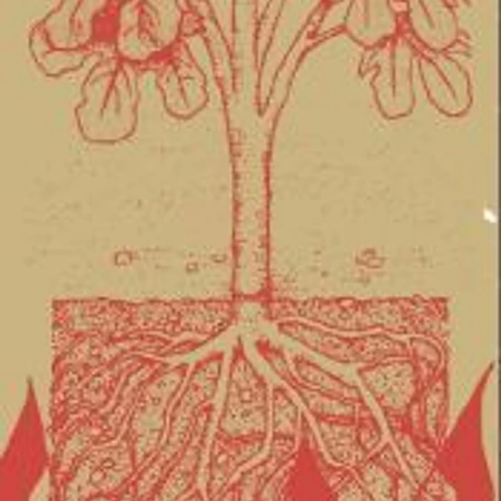 Autonomía y subsistencia: Una teoría ecosocial y materialista de la libertad 1