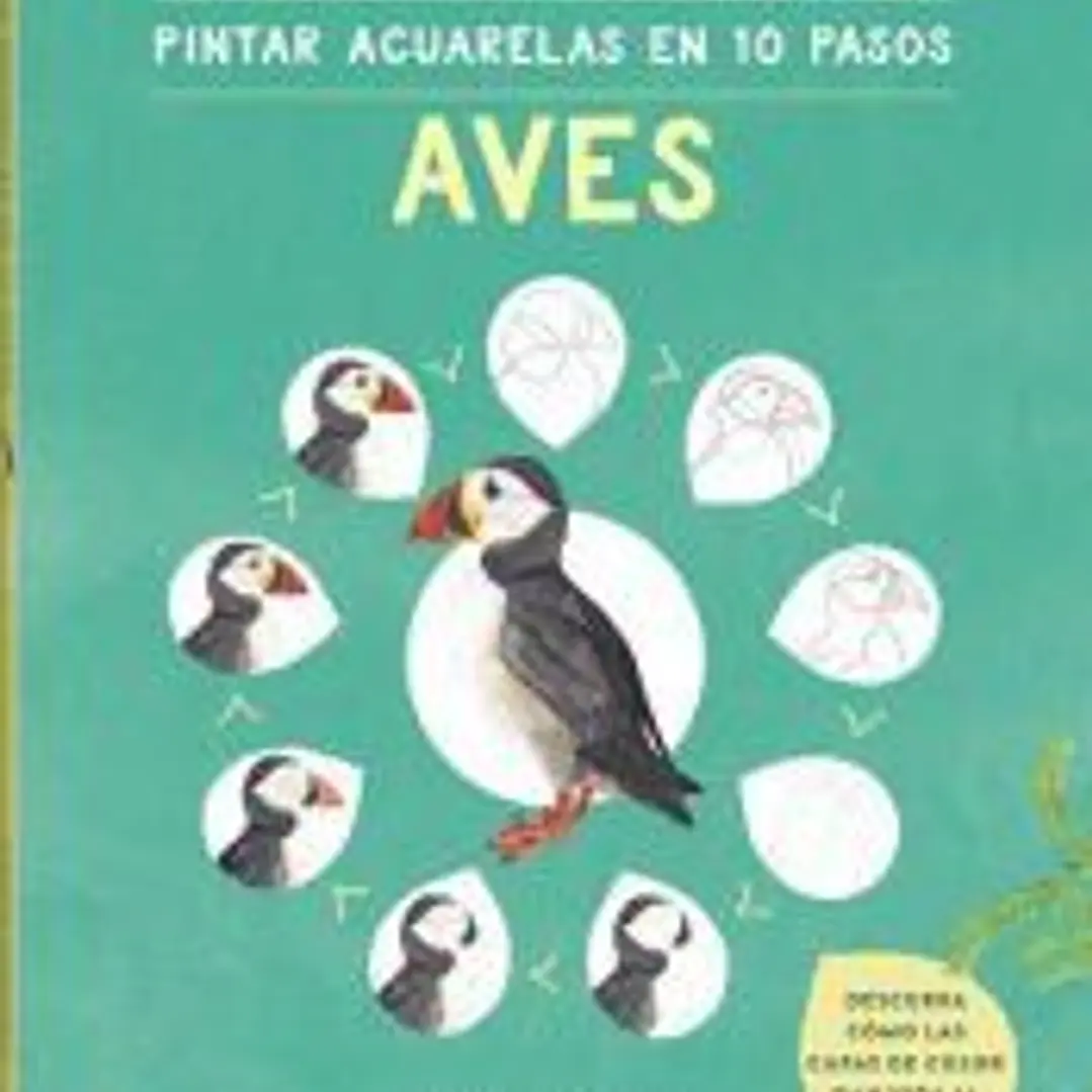 Pintar acuarelas en 10 pasos aves de todo el mundo 1