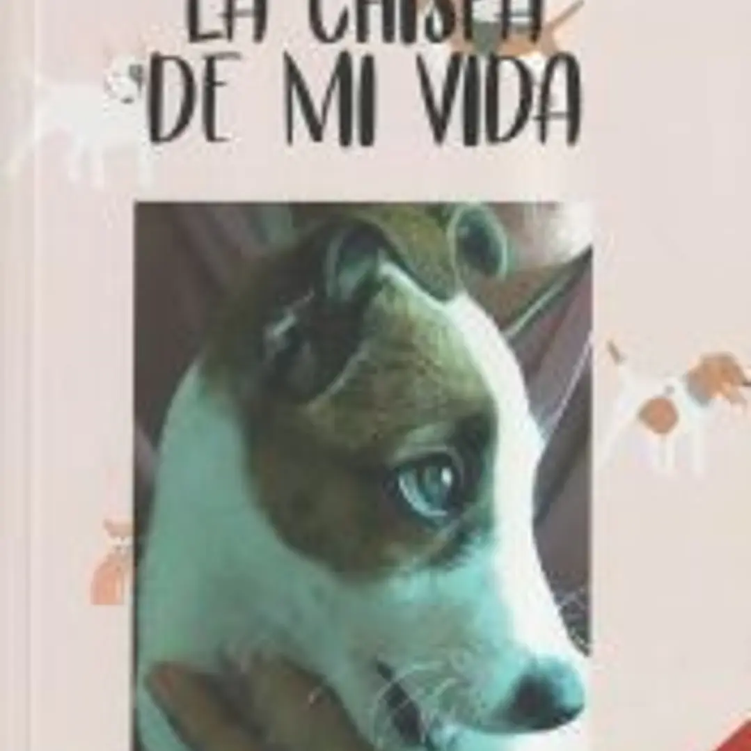 LA CHISPA DE MI VIDA 1