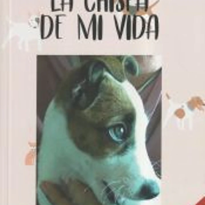LA CHISPA DE MI VIDA 1