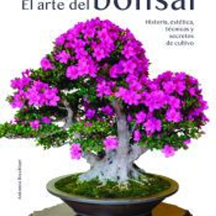 El Arte del Bonsái: Historia, Estética, Técnicas y Secretos de Cultivo 1