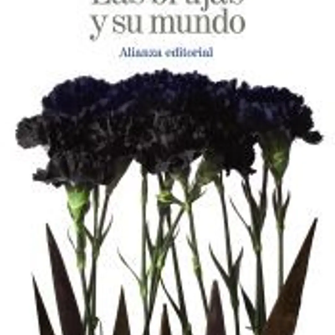 Las brujas y su mundo 1