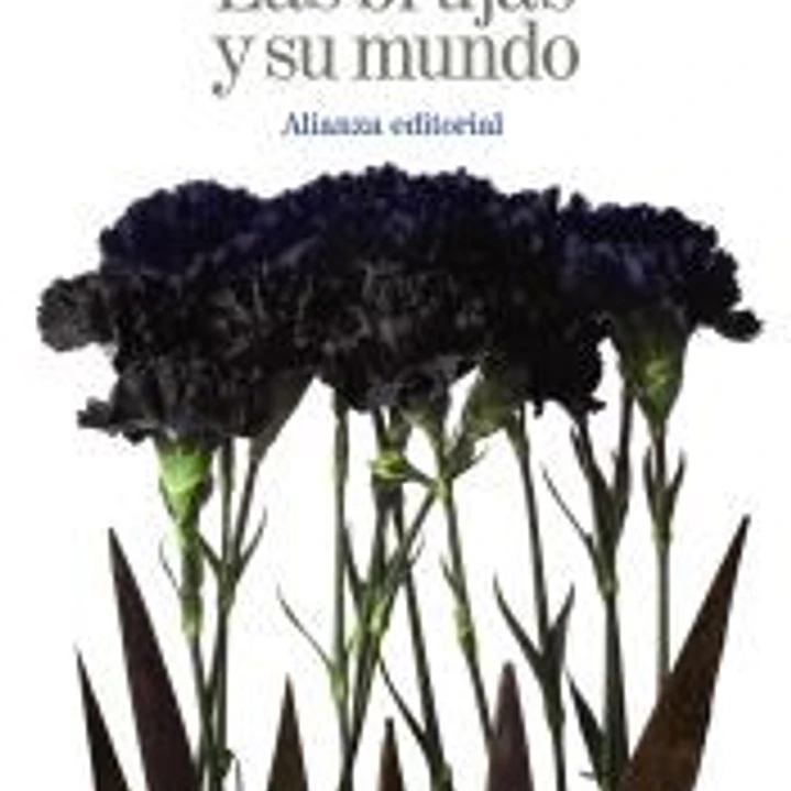 Las brujas y su mundo 1