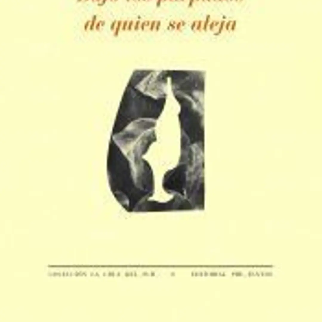 Bajo los párpados de quien se aleja 1