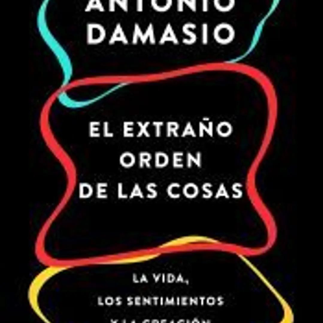 El extraño orden de las cosas 1
