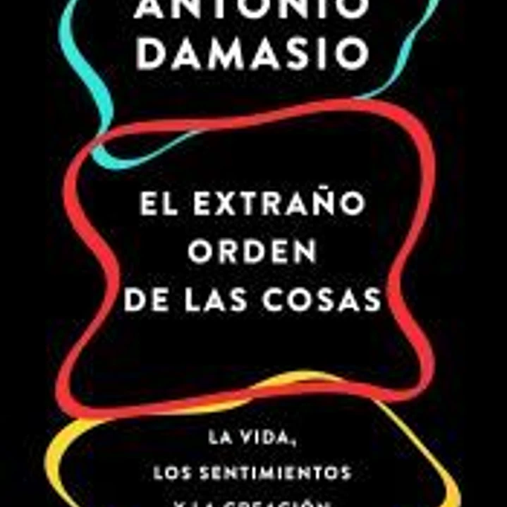 El extraño orden de las cosas 1