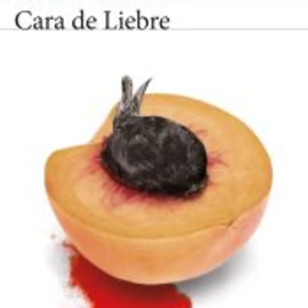 Cara de Liebre 1