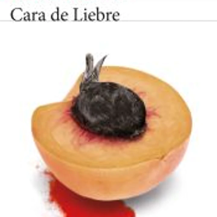 Cara de Liebre 1