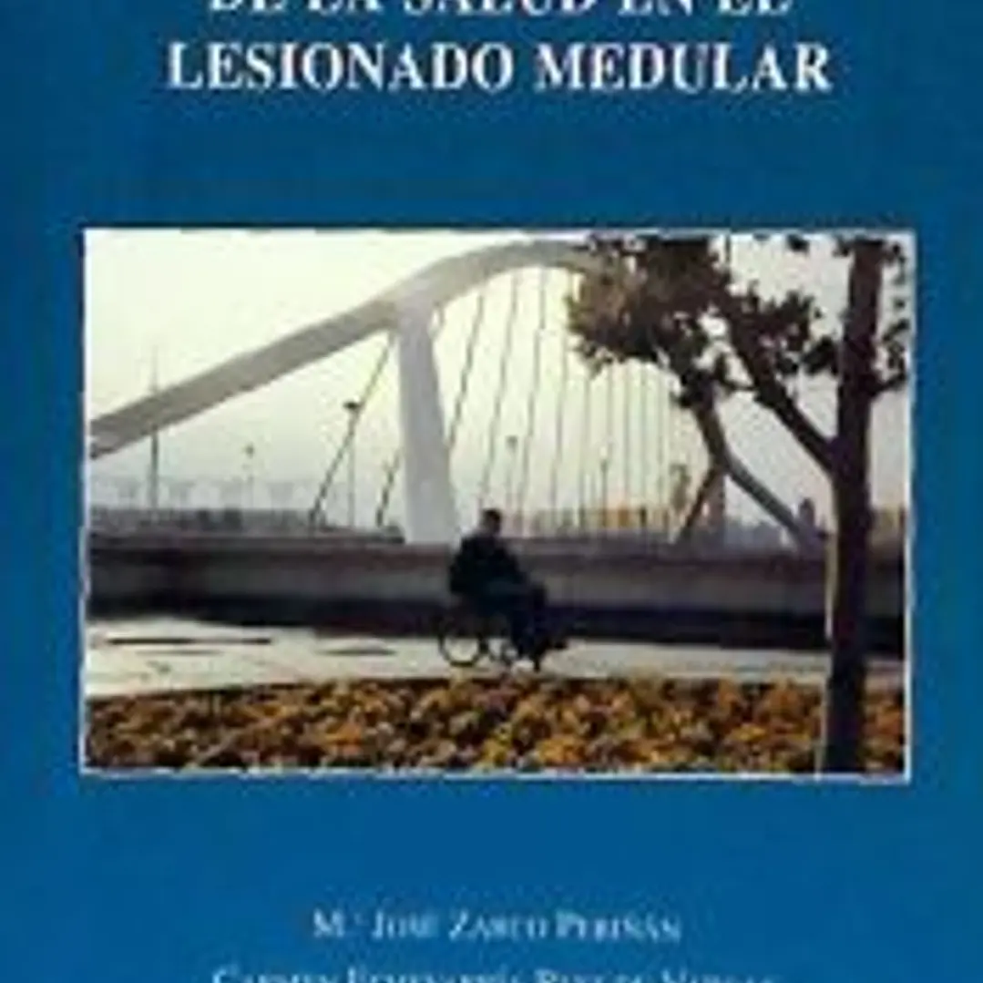 INSTRUMENTOS DE MEDIDA DE LA SALUD EN EL LESIONADO MEDULAR 1