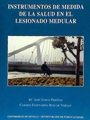 INSTRUMENTOS DE MEDIDA DE LA SALUD EN EL LESIONADO MEDULAR