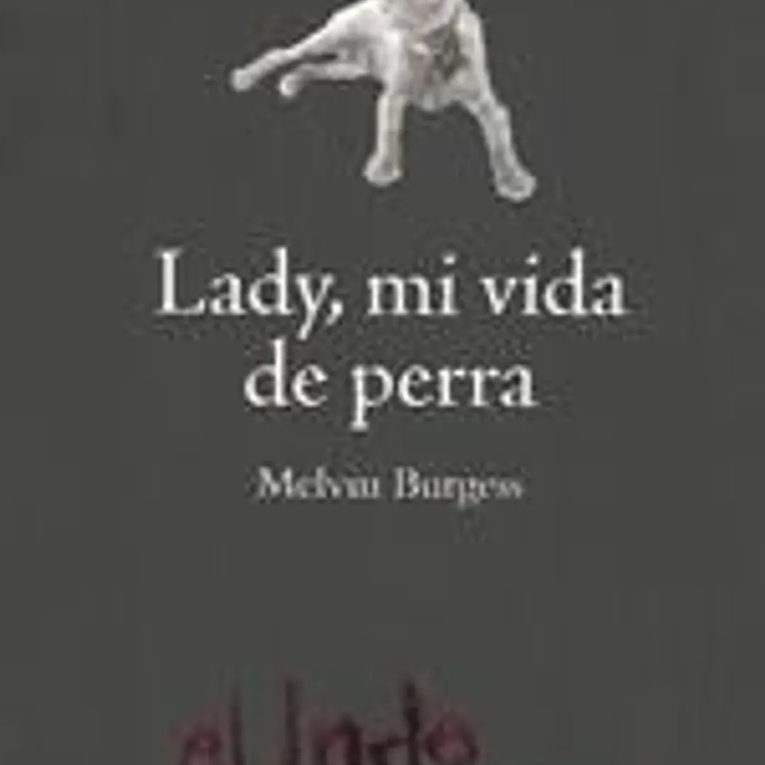 Lady, mi vida como perra: Sandra desaparece 1