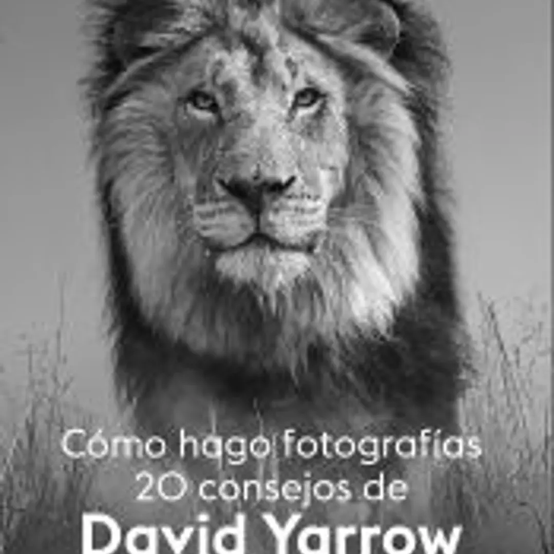 Cómo hago fotografías 20 consejos 1