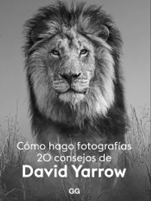 Cómo hago fotografías 20 consejos