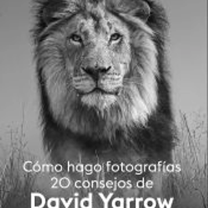 Cómo hago fotografías 20 consejos 1