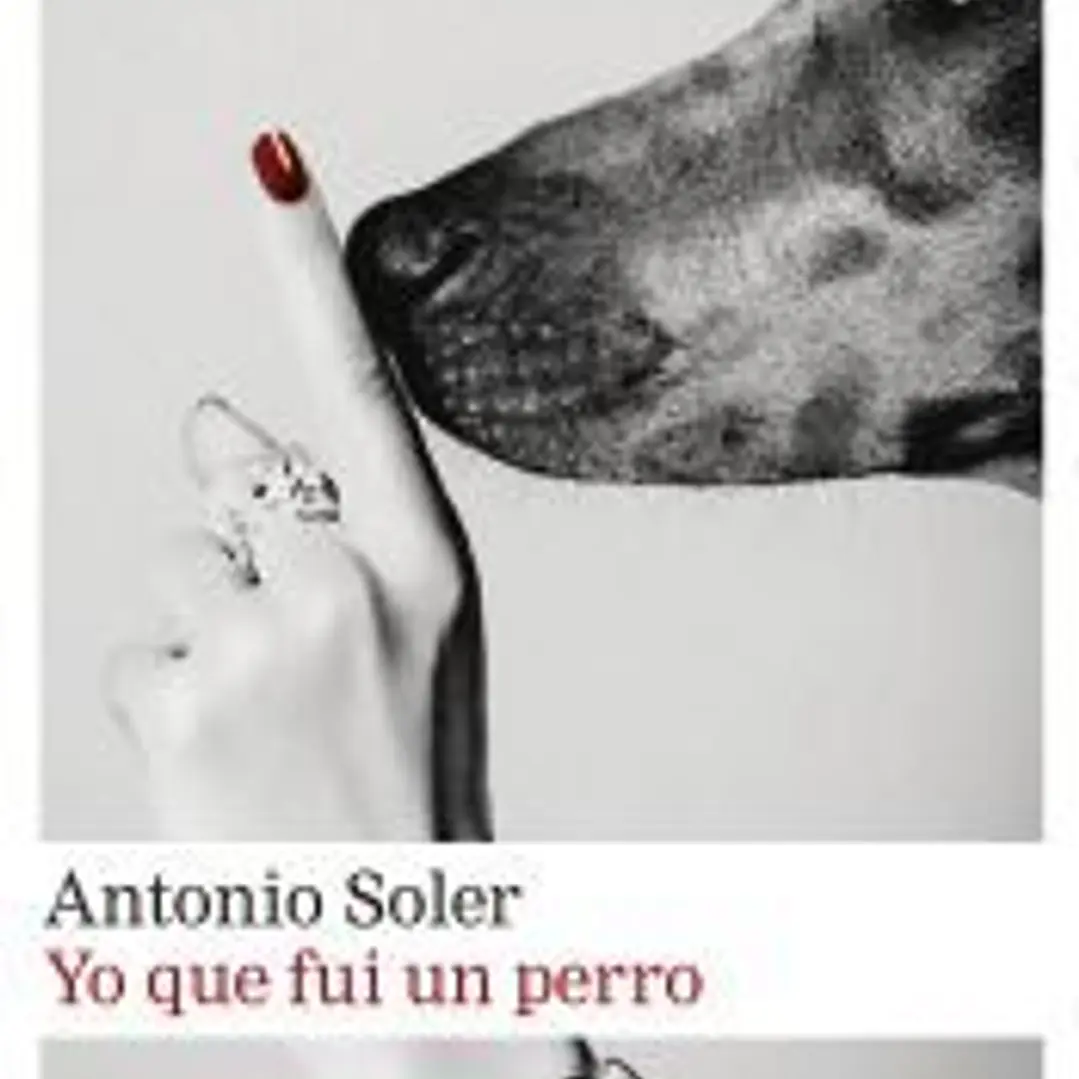 Yo que fui un perro 1