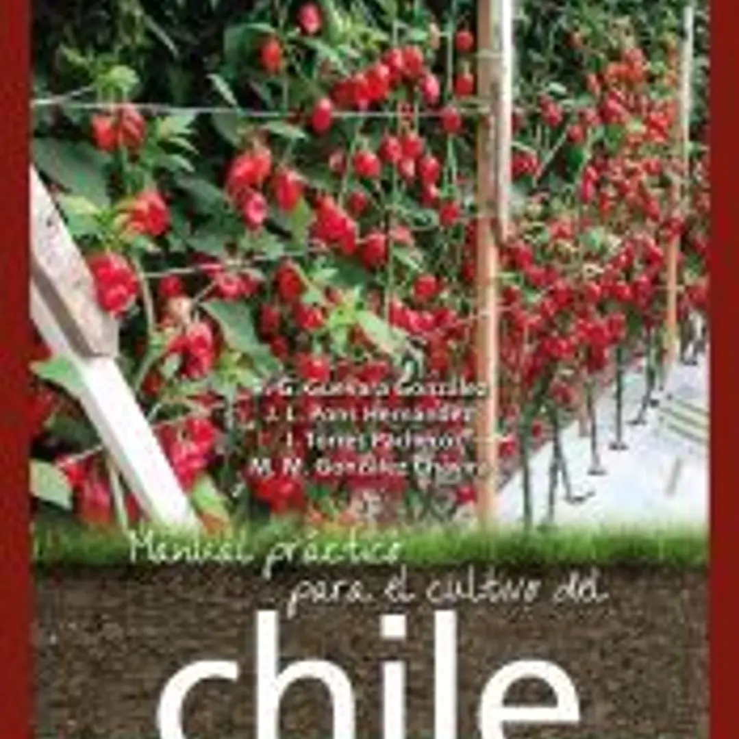 Manual práctico para el cultivo del chile 1