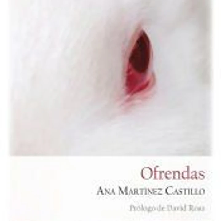 Ofrendas 1