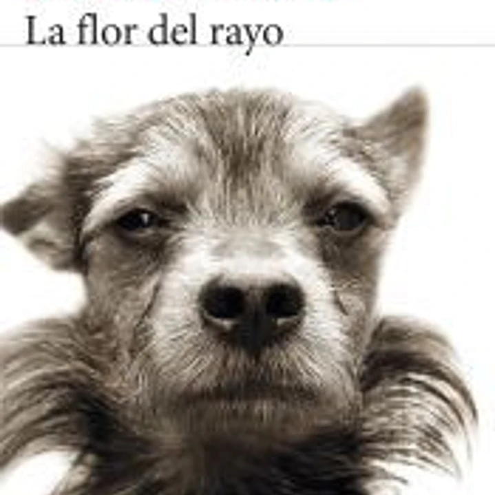 La flor del rayo 1