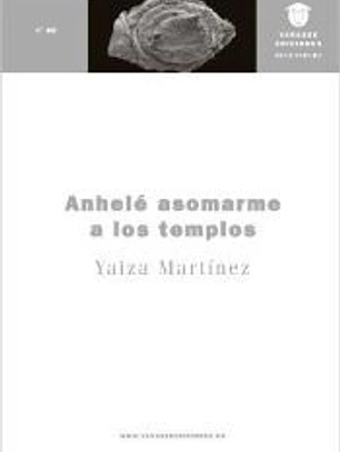 Anhele asomarme a los templos