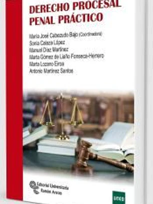 Derecho procesal penal práctico