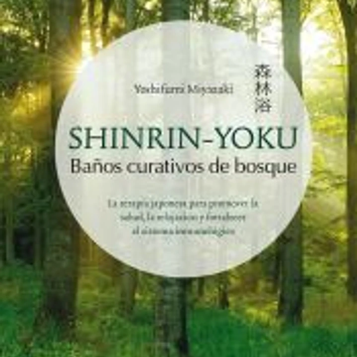Shinrin-Yoku. Baños curativos de bosque 1