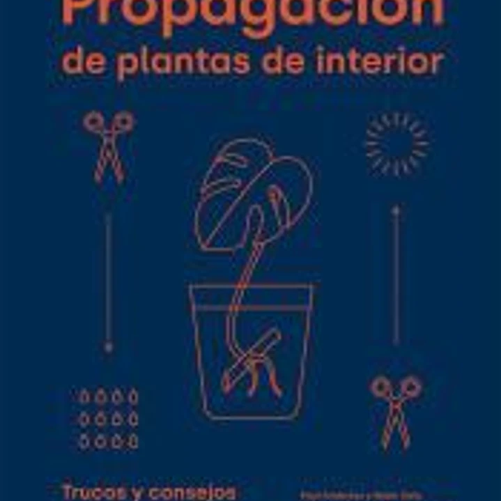 Propagación de plantas de interior 1