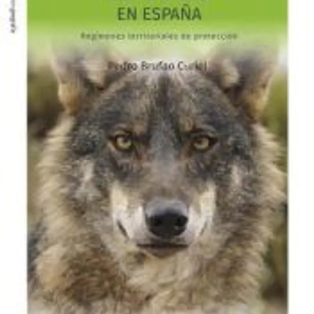 El lobo en España: Regímenes territoriales de protección 1