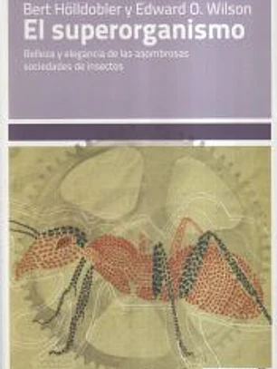 El superorganismo: belleza y elegancia de las asombrosas sociedades de insectos