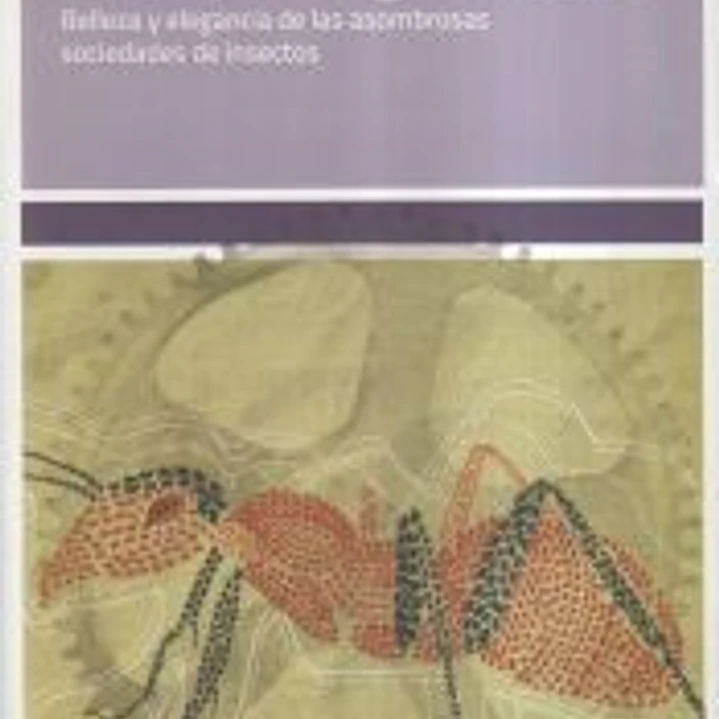 El superorganismo: belleza y elegancia de las asombrosas sociedades de insectos 1