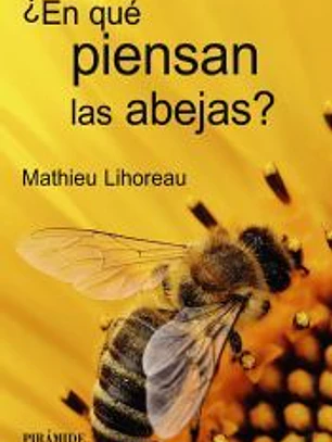 ¿En qué piensan las abejas?
