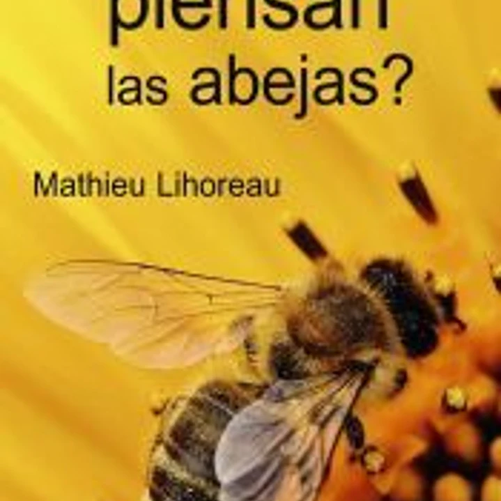 ¿En qué piensan las abejas? 1