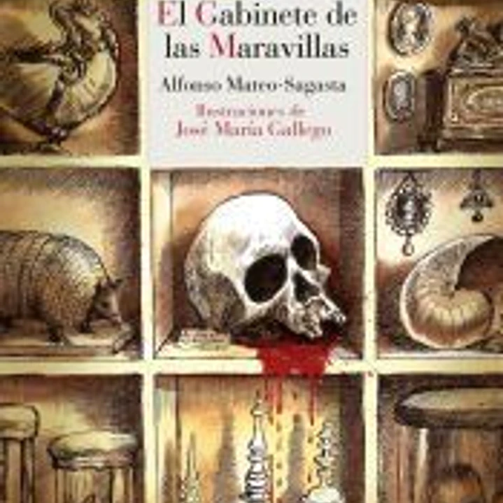 El gabinete de las maravillas 1