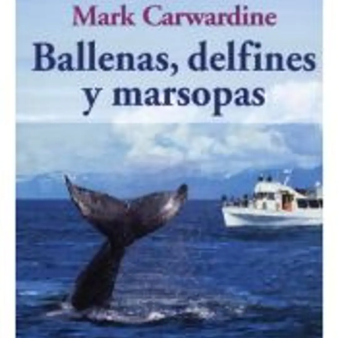 BALLENAS, DELFINES Y MARSOPAS 1