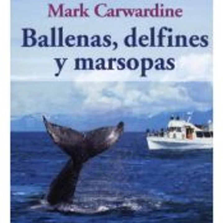 BALLENAS, DELFINES Y MARSOPAS 1