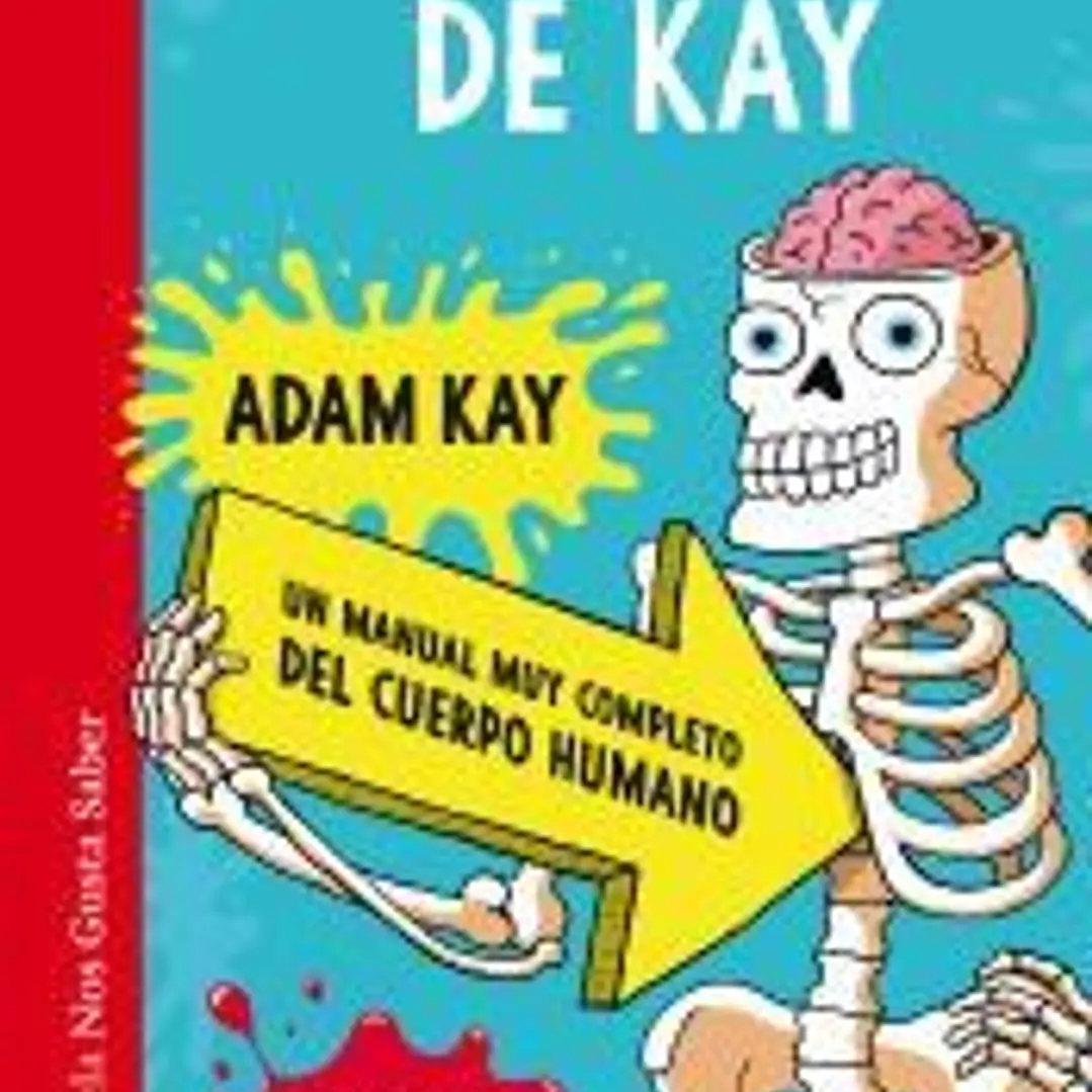 Anatomía de Kay 1