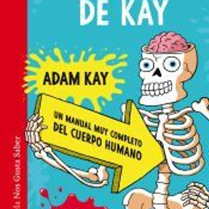 Anatomía de Kay 1