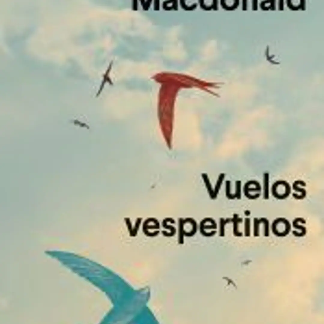 Vuelos vespertinos 1