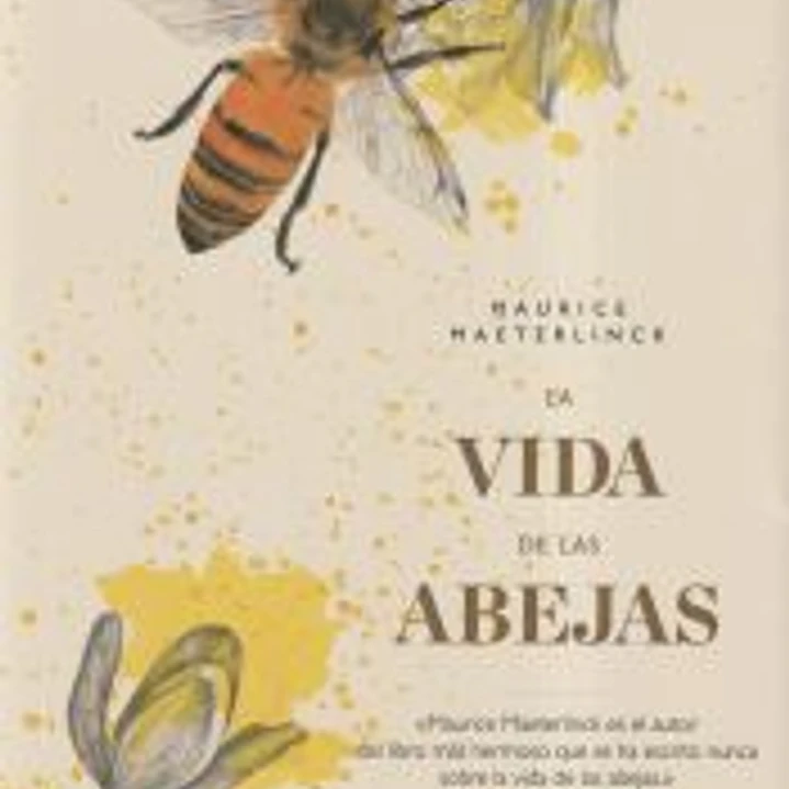La vida de las abejas 1