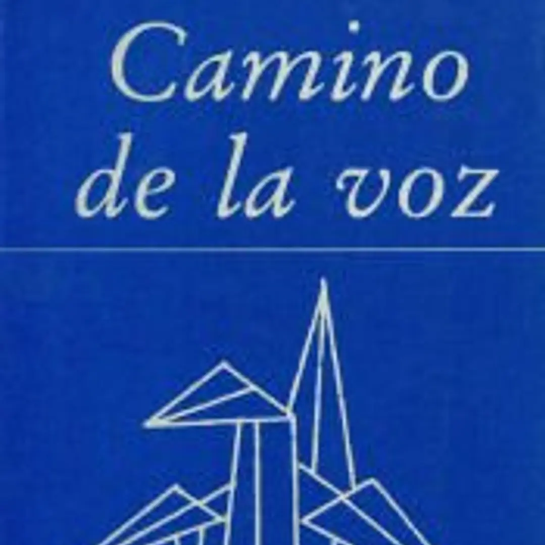 Camino de la voz 1