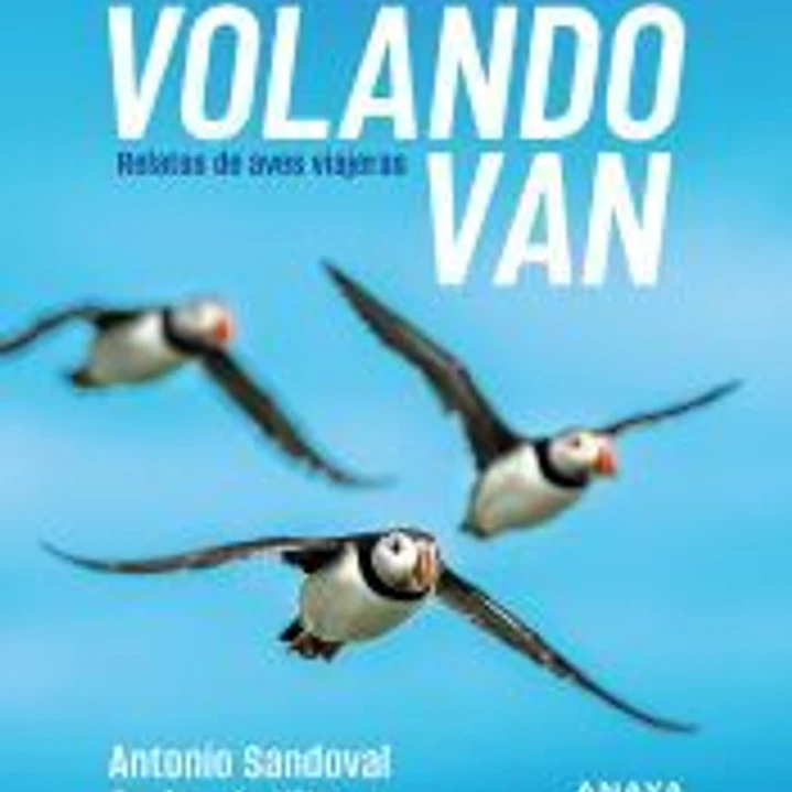 Volando van 1