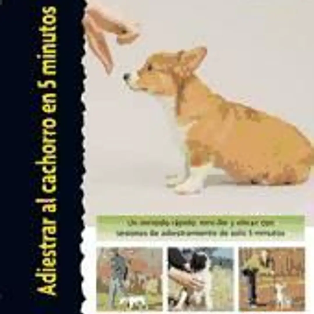 Adiestrar al cachorro en 5 minutos (Excellence) 1