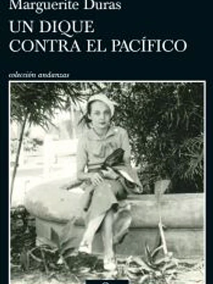Un dique contra el Pacífico