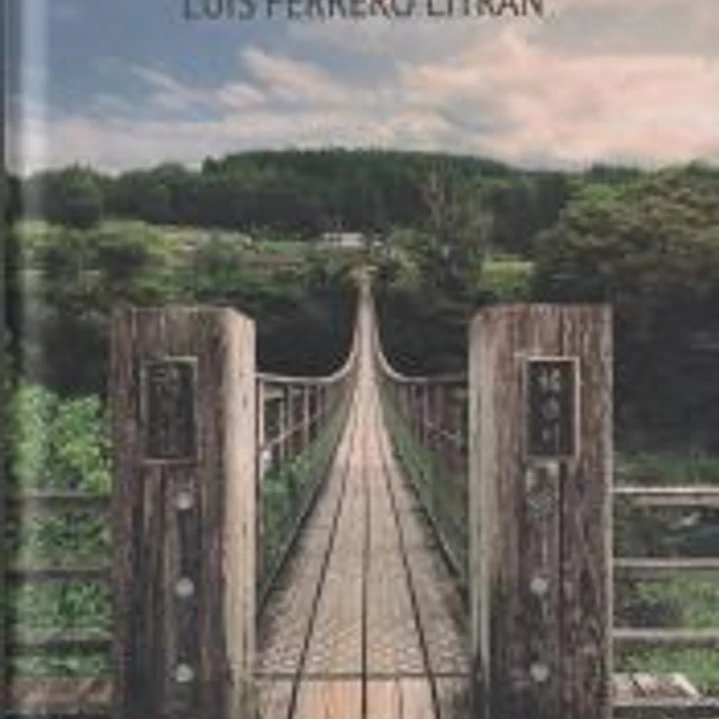 Las luces de Oita 1