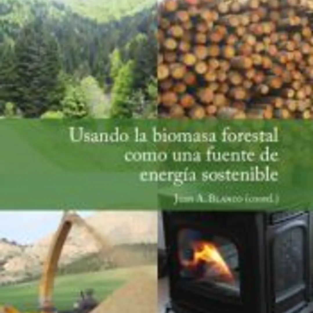 Usando la biomasa forestal como una fuente de energía sostenible 1