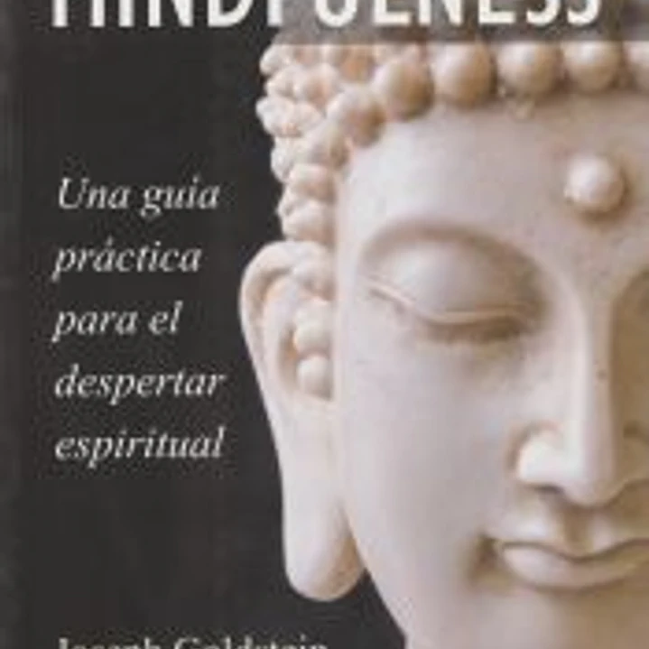 Mindfulness. Una guía práctica para el despertar espiritual 1
