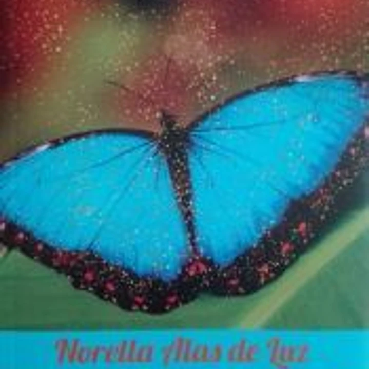 NORELLA ALAS DE LUZ 1