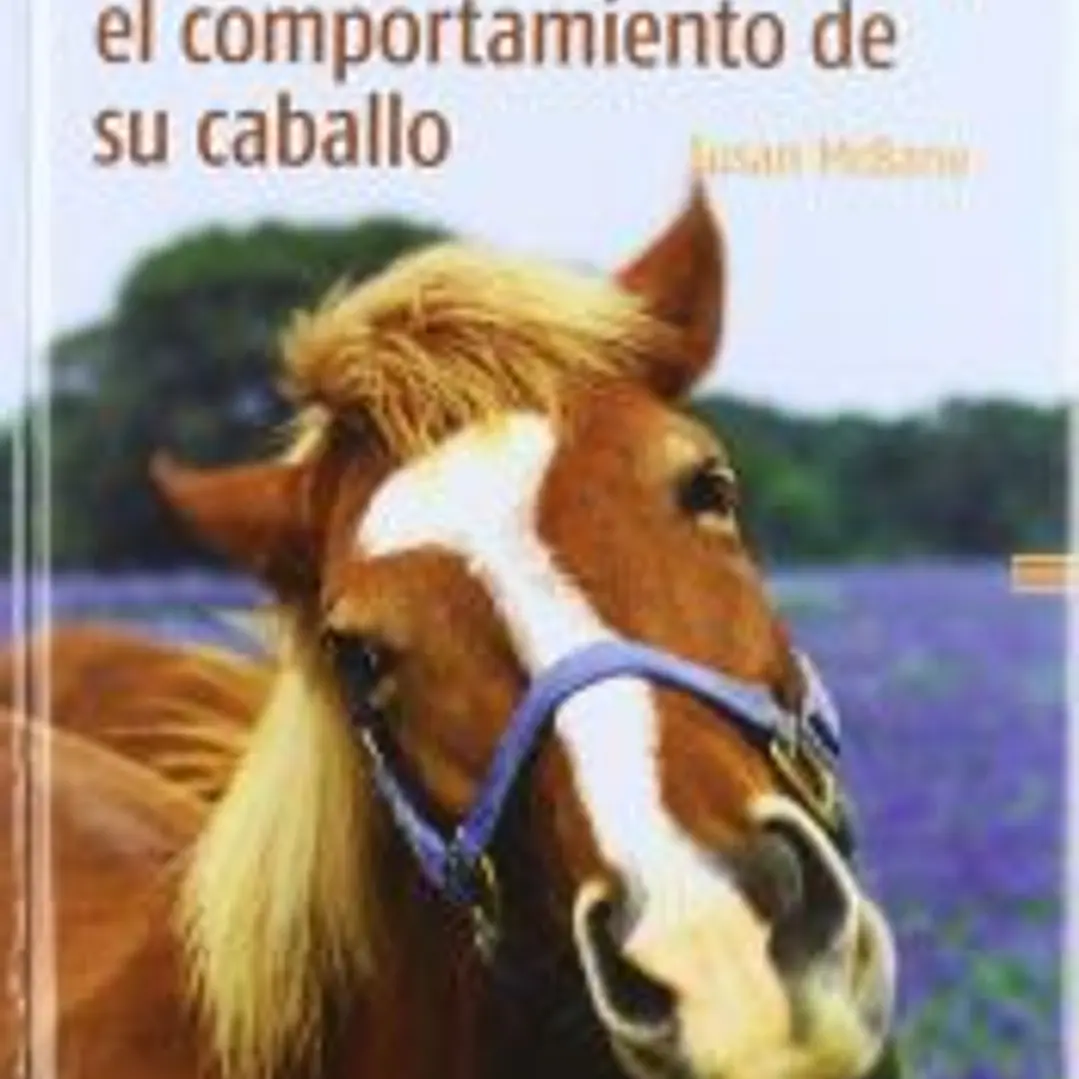 Cien maneras de mejorar el comportamiento de su caballo 1