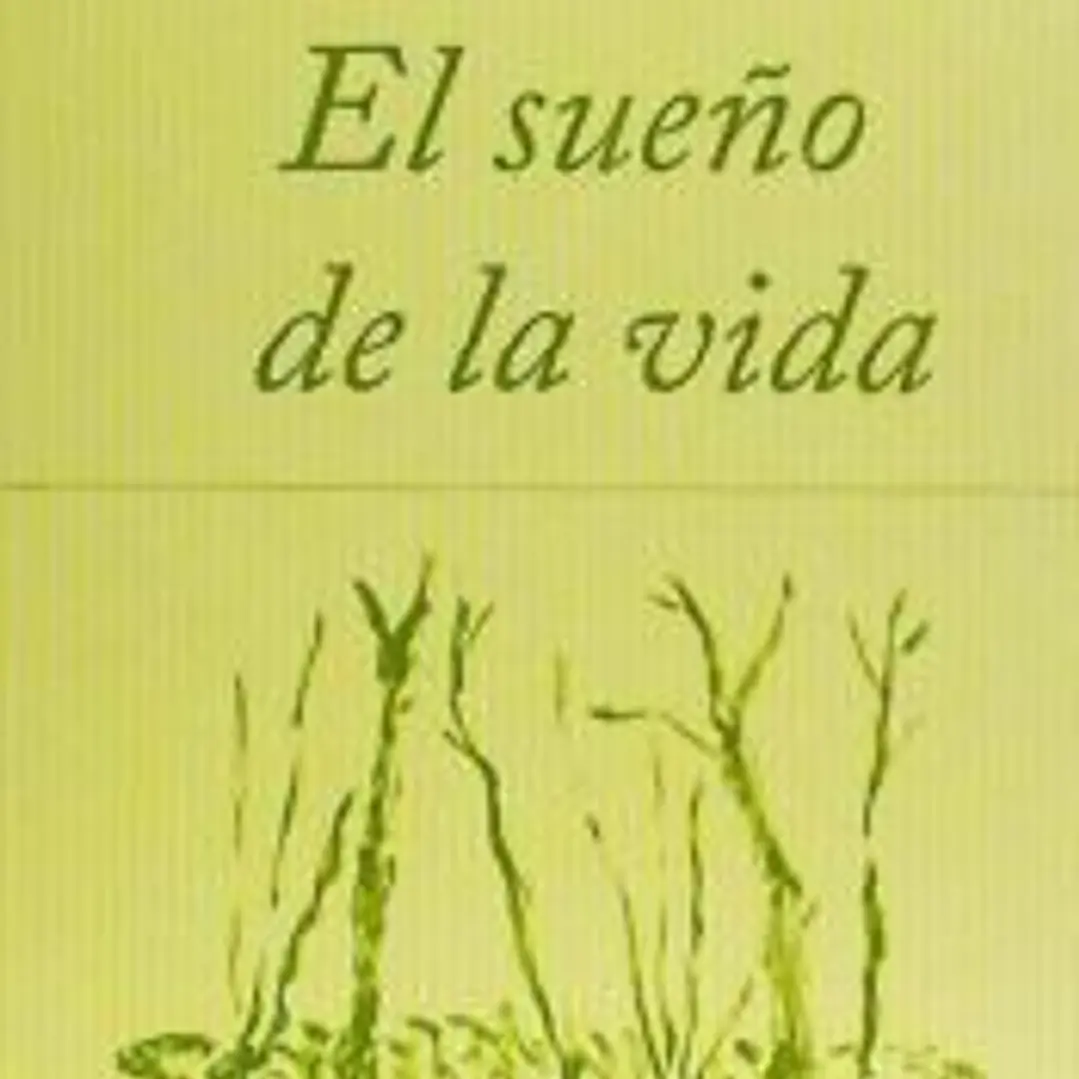 El sueño de la vida 1